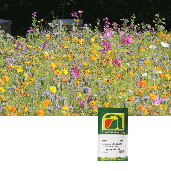 Blumensamenmischung "Blühmischung Honig & Schmetterling mehrjährig"